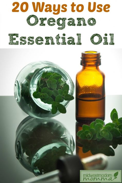 Uses For Oregano, Oregano Oil Benefits, Oregano Essential Oil, Oregano Oil, Young Living Oils, Doterra Oils, Oil Benefits, Oil Uses, Essential Oil Uses