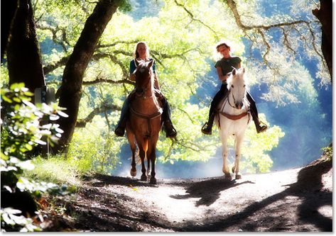 easy soft focus and glow effect in photoshop Camping In Texas, Trick Riding, Riding Stables, Equestrian Aesthetic, Horseback Rider, Cades Cove, All About Horses, Horse Health, Trail Riding