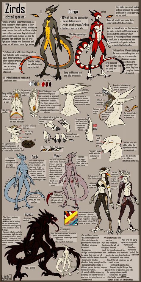 Reptile People, Closed Species, Its Done, Reference Sheet, Alien Concept Art, Monster Concept Art, Creature Drawings, Fantasy Races, Human Male