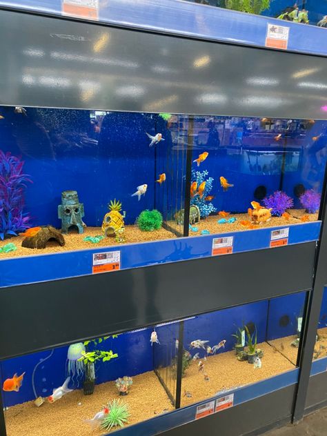 Fish tank
Fish
Aquarium
Blue Spongebob Aquarium Ideas, Spongebob Aquarium, Spongebob Fish Tank, Fish Tank Themes, Pet Ideas, Fish Aquarium, Fish Tanks, 5th Birthday, Fish Tank