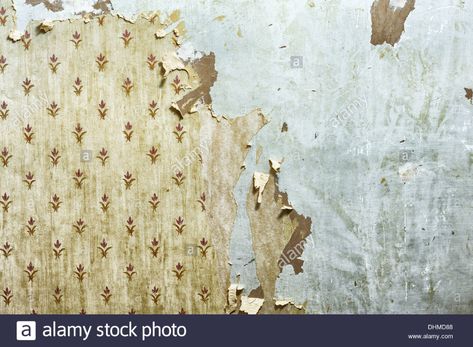 Wallpaper peeling off a wall during home decoration. Image could also suggest disuse or dilapidation, renovation, improvement Stock Photo 1950s Wallpaper, 1970s Wallpaper, Painting Over Wallpaper, Peeling Wallpaper, The Glass Menagerie, Plasterboard Wall, Victorian Wallpaper, Diy Wallpaper, Old Wall