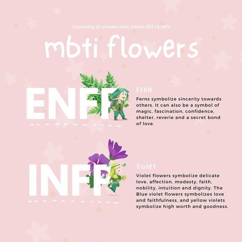 MBTI Flowers ENFP INFP Enfp Meaning, Mbti Flowers, Enfp Infp Friendship, Enfp Infp Relationship, Enfp X Infp Relationship, Enfp Quotes, Infp Facts, Infp Vibes, Enfp Things