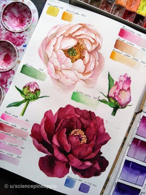 Botanical Sketchbook, Gcse Art Sketchbook, A Level Art Sketchbook, Watercolor Flower Art, 수채화 그림, Watercolor Art Lessons, Arte Sketchbook, Wallpaper Vintage, A Level Art