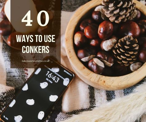 Autumn is awash with conkers, but did you know these freebies that little the floor have a whole host of uses? Here are 4 ways you can use conkers, from the practical, to the autumnal crafting, there are loads of reasons to collect these nuts and bring them into your home. #autumn #fall #conkers Conker Crafts, Conkers Craft, Horse Chestnut Trees, Crafting Wire, Foraging Recipes, Halloween 23, Soap Nuts, Diy Lotion, Fall Flower Arrangements