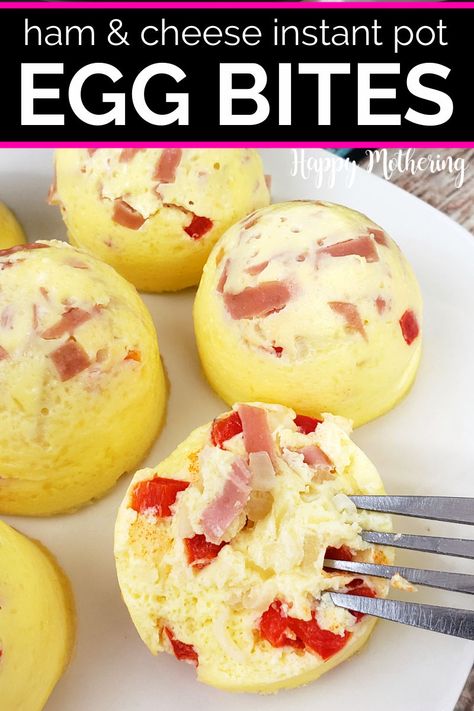 Looking for an easy breakfast idea you can make ahead of time? Look no further than these delicious Instant Pot Egg Bites with Ham and Cheese! These fluffy egg bites are the perfect way to start your day, made with savory ham, cheddar cheese and fluffy eggs all cooked in your Instant Pot. With hardly any time prep time, these egg bites are a delicious and convenient way to get your morning off to a great start. Better and more affordable than Starbucks Sous Vide Egg Bites! #instantpot #eggbites Make Ahead Breakfast Gluten Free, Fluffy Egg Bites, Best Make Ahead Breakfast, Egg Bites Instant Pot, Starbucks Sous Vide Egg Bites, Instant Pot Egg Bites, Starbucks Sous Vide Eggs, Sous Vide Egg Bites, Breakfast Gluten Free