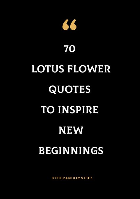 #lotusquotes #lotusflowerquotes #flowerquotes #inspirationalmorningquotes #peacequotes #positivemorningquotes Be Like A Lotus Quotes, Lotus Flower Meaning Quotes, Lotus Flower Captions For Instagram, Lotus Flower With Quote Tattoo, Lotus Captions For Instagram, Quotes About Lotus Flower, Lotus Caption, Lotus Sayings, Lotus Flower Quotes Inspirational