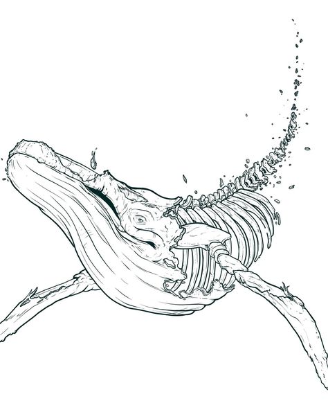 The final whale fall piece is almost ready to share. I might have some prints prepared for Seedy Saturday & Sunday this weekend, but we'll see. At the very least, I need to spell-check everything. ⁠ I'm better at making art than I am words. ⁠ ⁠ In the meantime, here is the line art for the whale remains. This is the beginning layer of the whole piece. All the critters, colours and shapes interact with the whale somehow. ⁠ ⁠ #whalefall #huimpbackwhale #humpback #whaleskeleton #oceanlife #oce... Whale Skeleton Drawing, Whale Line Drawing, Am Words, Single Tattoos, King Hades, Whale Fall, Humpback Whale Art, Skeleton Animals, Whale Sketch