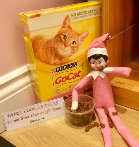 Elf On The Shelf Cat Ideas, Elf Biscuits, Elf On The Shelf Eating, Cat Biscuits, Elf Halloween, Elf 2023, Elf 2024, Elf Shenanigans, Elf Ideas Easy