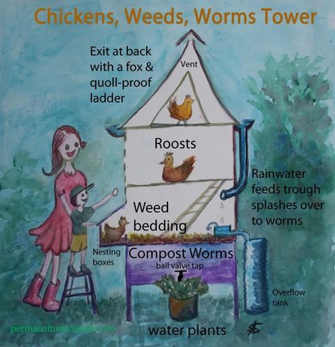 Chicken Permaculture, Permaculture Chickens, Vermicomposting Worm Farm, Worm Farms, Montessori Garden, Homestead Livestock, Worm Beds, Feed Trough, Permaculture Design Course