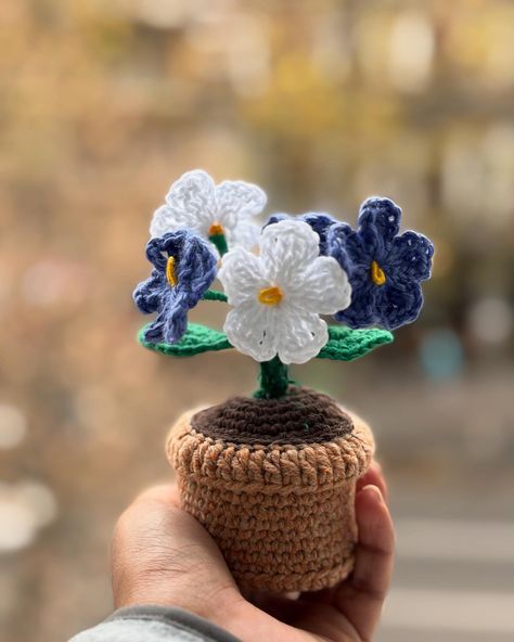 Forget me Not Flower Pot Dm for Orders. #flowerpot #crochet #forgetmenot #berlín Crochet Forgetmenot, Forget Me Not Flower, Forget Me Not, Flower Pot, Flower Pots, Crochet, Flowers, Quick Saves