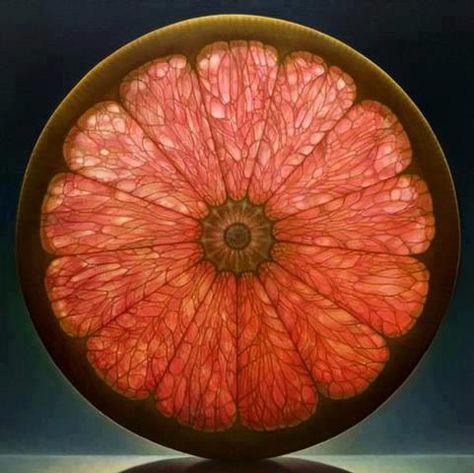 Fibonacci Grapefruit! Dennis Wojtkiewicz, Foto Macro, Fruit Painting, Wow Art, Pics Art, Patterns In Nature, Art Graphique, Sacred Geometry, Belle Photo