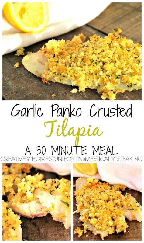 Panko Crusted Tilapia, Easy Baked Fish Recipes, Panko Recipes, Breaded Tilapia, Baked Tilapia Recipes, Tilapia Recipe, Crusted Tilapia, Fish Recipes Baked, Baked Tilapia