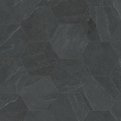 Satori Gios Graphite Hexagon 8-in x 10-in Matte Porcelain Floor and Wall Tile (0.44-sq. ft/ Piece) Lowes.com Black Hexagon Tile Bathroom, Dark Tile Floors, Tennessee Living, Hexagon Tile Bathroom, Tile Bathrooms, Black Hexagon Tile, Octagon Tile, Hexagon Floor, Hexagon Tile Floor