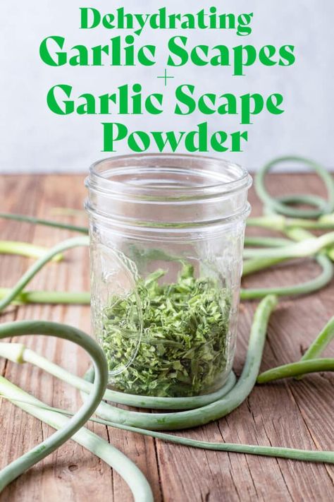 How To Preserve Garlic Scapes, Dehydrate Garlic Scapes, Preserving Garlic Scapes, What To Do With Garlic Scapes, Dehydrating Garlic, Garlic Scapes Recipes, Scape Recipes, Drying Garlic, Living Seasonally