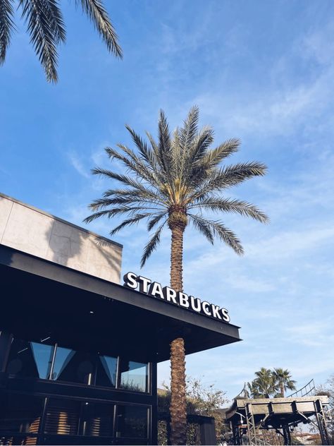 #Starbucks #palmtrees #tree #aesthetic Starbucks Building Aesthetic, Green Starbucks Aesthetic, Aesthetic Starbucks Pictures, Green Aesthetic Starbucks, Starbucks Beach Aesthetic, Surfers Paradise, Blue Aesthetic, Palm Trees, Bucket List