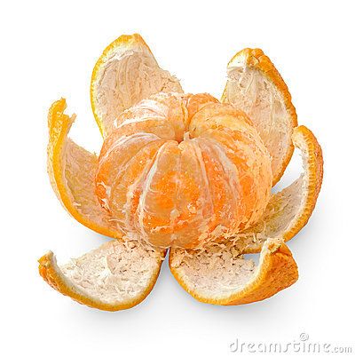 Peeled Orange Photography, Peeled Orange Drawing, Orange Peel Drawing, Peeled Orange Tattoo, Orange Peel Tattoo, Clementine Drawing, Tangerine Drawing, Tangerine Tattoo, Orange Reference