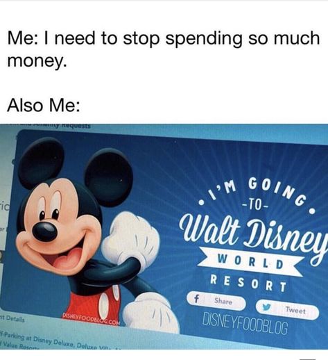 The 14 Disney Memes You Need in Your Life RIGHT NOW Disney Money, Disney Fireworks, Also Me, Stop Spending, Disney World Pictures, Life Right Now, Disney Mugs, Disney Songs, Disney Jokes