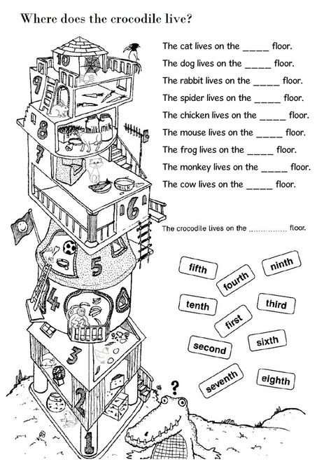 English Lessons Worksheets, Ordinal Numbers Worksheets, Live Worksheet, Ordinal Numbers, English Teaching Materials, English Teaching Resources, English Activities For Kids, English Exercises, Learning English For Kids