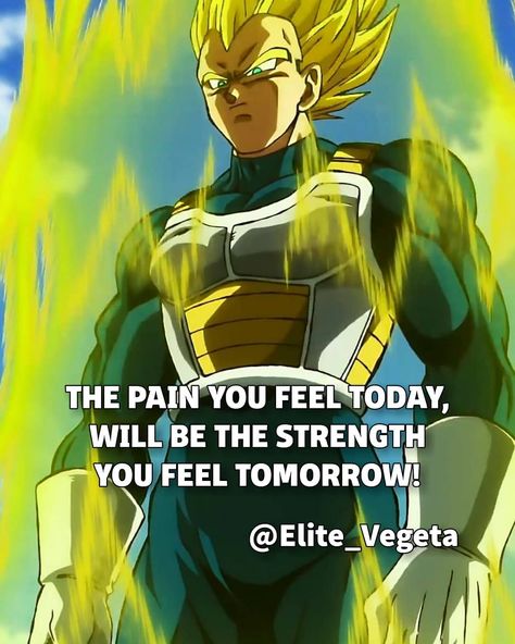 Dragon Ball Inspirational Quotes, Vegeta Strength Quotes, Vegeta Inspirational Quotes, Vegeta Motivation Wallpaper, Goku Motivation, Vegeta Motivation, Dbz Motivation, Vegeta Quote, Vegeta Quotes