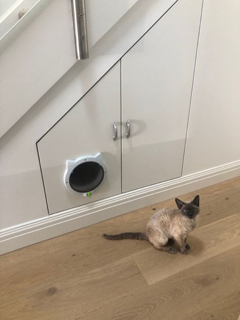 Indoor Cat Feeding Station, Cat Cupboard Under Stairs, Cat Litter Box Under Stairs, Cat Area Under Stairs, Under Stair Cat Litter, Under Stairs Litter Box Ideas, Under Stairs Cat Litter, Multi Cat Feeding Station, Under The Stairs Cat Room