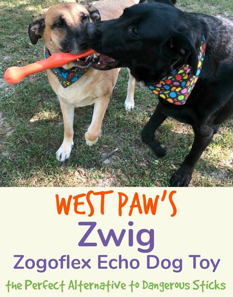 West Paw's Zwig Zogoflex Echo Dog Toy is the Perfect Alternative to Dangerous Sticks Pup Play, Homemade Pet Treats, West Paw, Pet Nutrition, Pet Pet, Animal Nutrition, Pet Training, Pet Treats, Pet Products