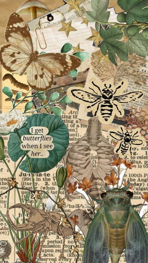 #insects #art #aesthetic #cottagecore #goblincore #entomology Lepidopterology Aesthetic, Entomology Aesthetic Wallpaper, Goblincore Posters, Entomology Aesthetic, Insects Art, Cottagecore Goblincore, Goblincore Aesthetic, Poetry Ideas, Goblin Core