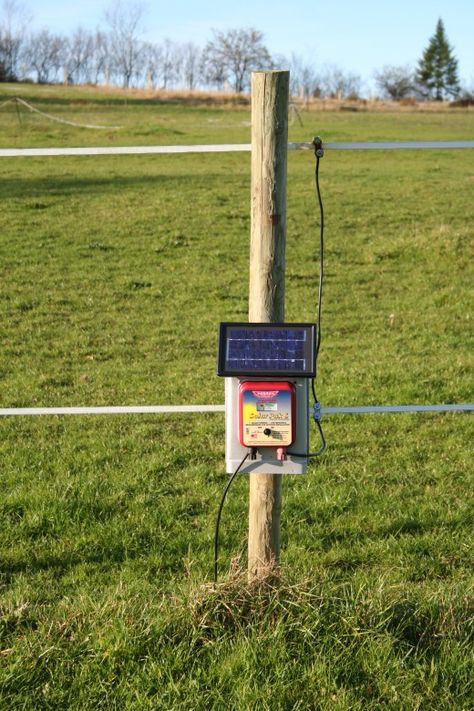 An Installed Electric Fence Charger Diy Electric Fence, Diy Horse Fencing, Solar Electric Fence, Farming Tips, Pasture Fencing, Electric Fencing, Farm Hacks, Horse Farm Ideas, Horse Paddock