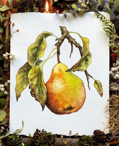 Pear Watercolor Painting, Pear Watercolor, Watercolour Fruit, Colored Pencil Art Projects, Pear Art, Watercolor Paintings Nature, Watercolor Beginner, Watercolor Fruit, Watercolor Sketchbook