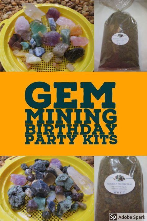 Rock And Mineral Birthday Party, Gem Mining Party, Gemstone Identification Chart, Gem Birthday Party, Mining Birthday Party, Mining Party, Rock Birthday, Gold Panning, Birthday Plans