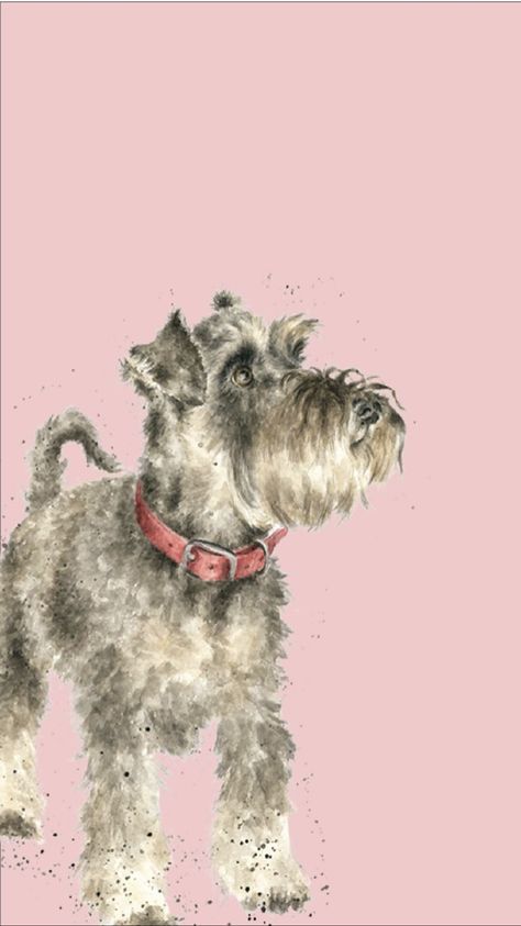 Mini Pictures, Animals Wallpapers, Dragon Cat, Wrendale Designs, Animal Artwork, Schnauzer Dog, 강아지 그림, Schnauzer Dogs, Funny Phone Wallpaper