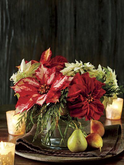 Poinsettia Perfection Amaryllis Christmas, Poinsettia Care, Poinsettia Plant, Festive Centerpieces, Holiday Greenery, Christmas Plants, Christmas Table Centerpieces, Country Christmas Decorations, Christmas Greenery