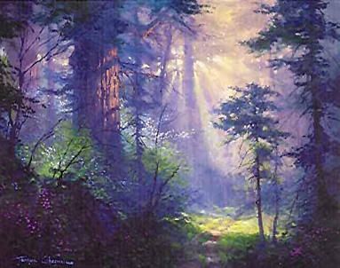 James Coleman James Coleman, Tree Paintings, Oil Painting Inspiration, Disney Background, Misty Morning, Watercolor Ideas, Forest Painting, Beautiful Nature Wallpaper, Dreamy Art