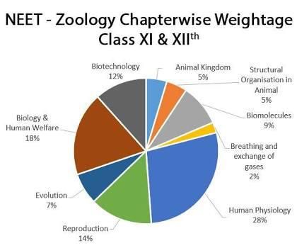 The knowledge about chapter-wise weightage and important topics of NEET 2020 makes the preparation for the exam easy and allows it to get streamlined. Judging by this year’s statistics, NEET 2020 is anticipated to be a highly competitive exam with more than 13 lakh aspirants  apply. NEET 2020 Chapter Wise Weightage and Important Topics has been analyzed by SpeedLabs for aspirants to help them decide and plan the time to be devoted to a chapter in Zoology  as per its weightage. The chapter-wise w Routine For Neet Aspirant, Study Plan For Neet, Time Table For Neet Aspirants, Neet Aspirant Motivation, Neet Aspirant Wallpaper, Neet Study, Neet Aspirant, Biology Jokes, Neet Preparation