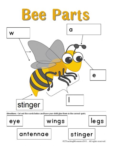 Project Bee online worksheet for Kinder 2C. You can do the exercises online or download the worksheet as pdf. Bees For Kids, Bee Life Cycle, Insect Unit, Bee Crafts For Kids, Insects Preschool, Bee Themed Classroom, Insect Activities, Bee Activities, Bee Classroom