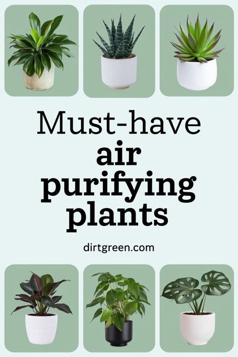 Plants For Bedroom Clean Air, Air Cleaning House Plants, Clean Air Plants, Best Air Purifying Plants, Air Cleaning Plants, Air Purifying House Plants, Home Air Purifier, Best Indoor Plants, Air Purifying Plants