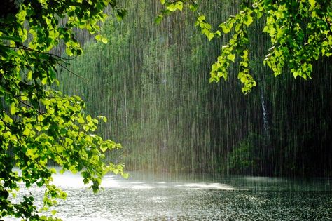 Rainy Wallpaper, Cozy Rainy Day, Flowers London, Rain Aesthetic, Monsoon Rain, Rainy Day Aesthetic, I Love Rain, Dark Landscape, Aesthetic Roses