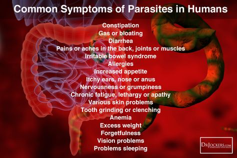 What Type of Parasites do You Have? - DrJockers.com Parasites Symptoms, Liver Fluke, Maumee Ohio, Mimosa Pudica, Fever Symptoms, Itchy Ears, Intestinal Parasites, Parasite Cleanse, Increase Appetite