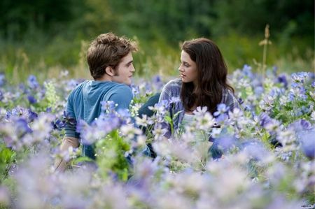 The Meadow Of Before (poem) Wallpaper Kristen, Twilight Bella And Edward, Bella And Edward, The Twilight Saga Eclipse, Twilight Edward, Twilight Film, Edward Bella, Twilight New Moon, Twilight Pictures