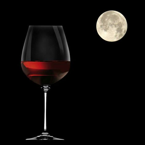 Wine & a full moon Different Types Of Wine, Strawberry Wine, Night Moves, Drinking Wine, Types Of Wine, Artist Quotes, Under The Moon, Wine Drinks, Full Moon