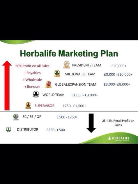 Herbalife marketing plan! Amazing opportunity!! Herbalife Business Plan, Herbalife Marketing Plan, Herbalife Marketing Plan Levels, Herbalife Marketing, Herbalife Wellness Evaluation, Herbalife Business Opportunity, Pdm Herbalife, Herbalife Quotes, Herbalife Products Benefits Of