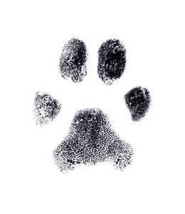 Dogs & Puppies, Paintings and Prints at Art.com Dog Print Tattoo, Pawprint Tattoo, Fingerprint Art, Stretched Canvas Wall Art, Dog Wall Art, Dog Tattoos, Cat Supplies, Animal Tattoos, Get A Tattoo