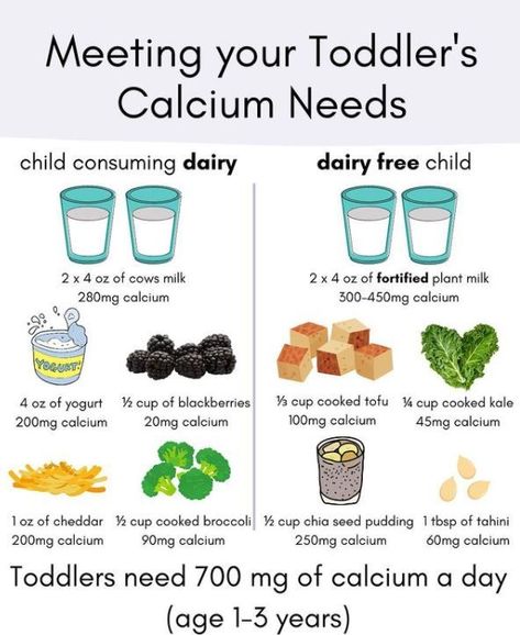 Milk Allergy Baby, Baby Food Guide, Baby Meal Plan, Toddler Nutrition, Easy Toddler Meals, Baby Food Chart, Toddler Breakfast, Calcium Rich Foods, Foods With Calcium