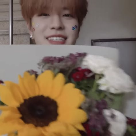 seungmin icon ⸝⸝ #seungmin #straykids Seungmin Highlights, Seungmin Straykids, Pink Highlights, Highlight Icons, Instagram Highlight Icons, Loving U, Stray Kids, Highlights, Music