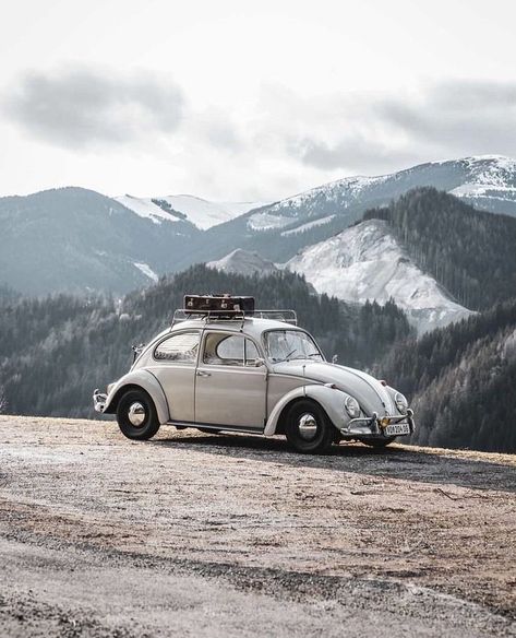 Beetle Photography, Classic Volkswagen Beetle, Volkswagen Beetle Vintage, Van Vw, Volkswagen Beetles, Classic Volkswagen, Beetle Car, Dream Life House, Vw Aircooled