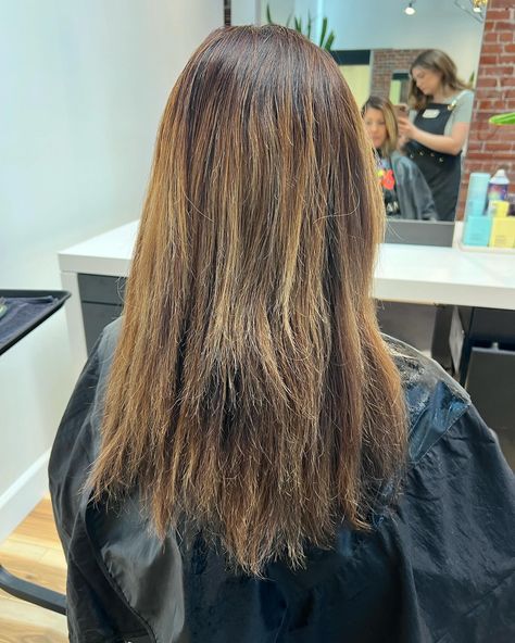 Transformation Tuesday 😍😍 We were seeing a lot of warmth and brassiness as her hair has grown out, so we packed in some highlights and lowlights to balance everything out 😁 and I think you can see how happy we were with the result 🥰 As you can see too her previous blonde was looking rather dry so I made sure to start with @k18hair and used it throughout the process. Let me tell you I did not see one single strand break off! 🙌🏼 #brunettebalayage #brunettehighlights #bayareahairstylist #eas... Break Off, Highlights And Lowlights, Brunette Highlights, Balayage Brunette, Transformation Tuesday, Happy We, Grow Out, Her Hair, Hair Stylist