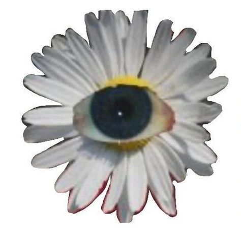 𓂃 𝜗𝜚 #eye + #flower - haiaiaiiaia how are y'all! Weird Flower Art, Flower In Eye Drawing, Eyeball Flowers Art, Flower Covering Eyes Art, Weirdcore Eyes, Weirdcore Eyes Drawing, Weird Png, Eyes Weirdcore, Flower Pupil Eye