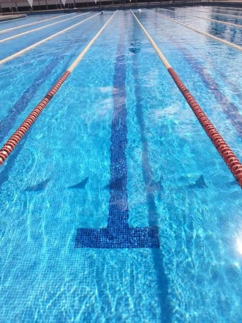 Swimming Pool Photography, Swimming Memes, Swimming Motivation, Swimming Pictures, Swimming World, I Love Swimming, Swimmers Life, Pool Photography, Swimming Classes