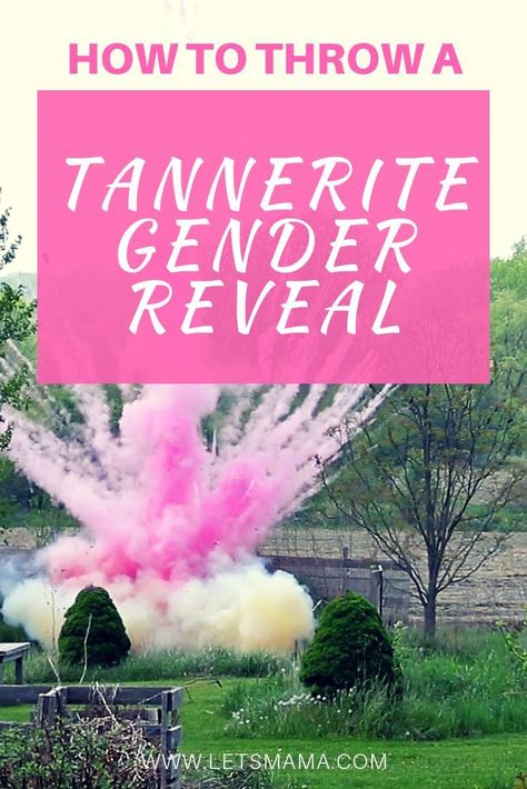 Watch our crazy tannerite gender reveal explosion and see how you can throw your very own tannerite gender reveal party. You will blow everyone out of the water! Blow Up Gender Reveal Ideas, Gender Reveal Ideas Explosion, Vintage Gender Reveal Party, Big Gender Reveal Ideas, Gender Reveal Volcano, Prenatal Development, Halloween Gender Reveal, Gender Reveal Unique, Gender Reveal Party Games