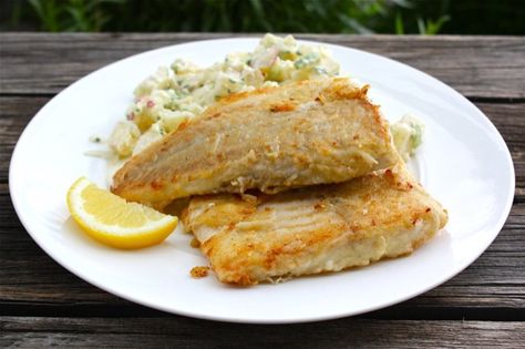 The Great Northern Pike is a fresh water white fish that is delicious fried in butter. Baked Northern Pike Recipes, Northern Pike Recipes, Northern Pike Recipe, Pike Recipes, Gator Recipe, Fishing Recipes, Pike Fish Recipes, Pike Fish, Northern Pike