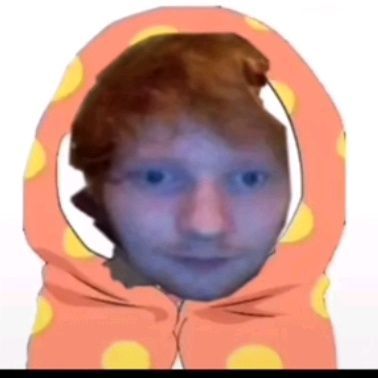 Ed Sheeran Cursed, Poot Lovato, Egg Sheeran, Ed Sheeran Memes, Ed Sheeran Facts, Ed Sheeran Love, Music People, Funny Reaction Pictures, Im Bored